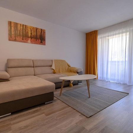 Transylvanian Apt. W/ Lrg. Terrace And Parking - Karpatenhaus Braşov Eksteriør bilde